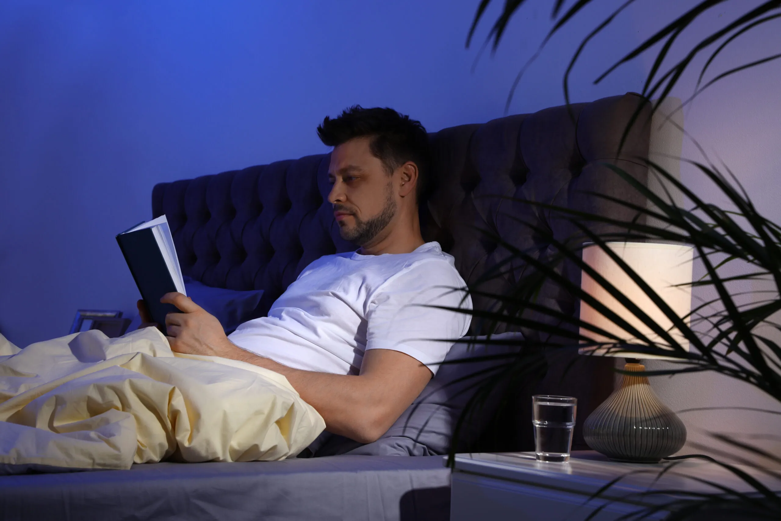 Soft evening glow in a tranquil interior
